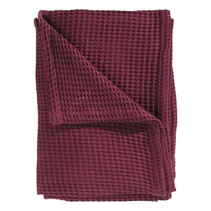 Marron Red