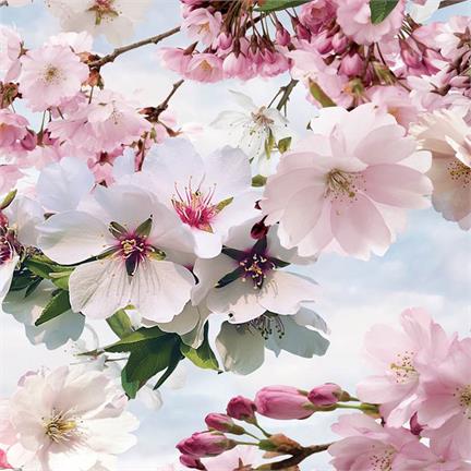 Snoozing Blossomtree dekbedovertrek